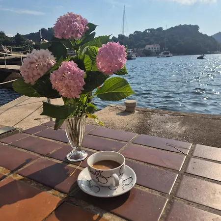 Lejlighed Paolo Okuklje